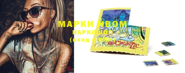 ГАЛЛЮЦИНОГЕННЫЕ ГРИБЫ Верея