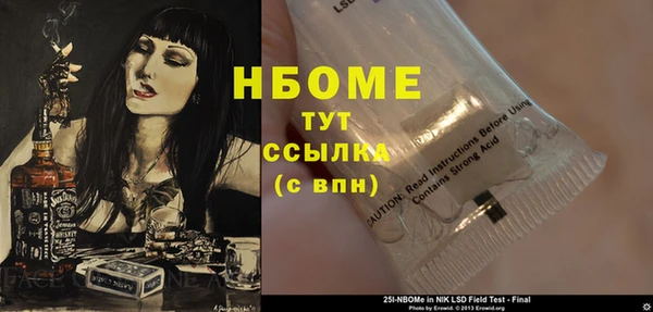 ГАЛЛЮЦИНОГЕННЫЕ ГРИБЫ Верея