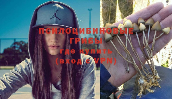 ГАЛЛЮЦИНОГЕННЫЕ ГРИБЫ Верея