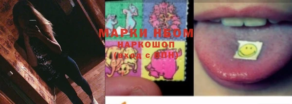 ГАЛЛЮЦИНОГЕННЫЕ ГРИБЫ Верея