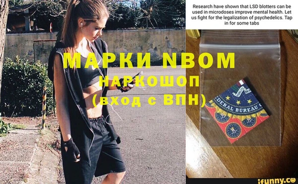 ГАЛЛЮЦИНОГЕННЫЕ ГРИБЫ Верея