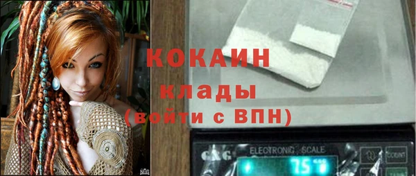 ГАЛЛЮЦИНОГЕННЫЕ ГРИБЫ Верея
