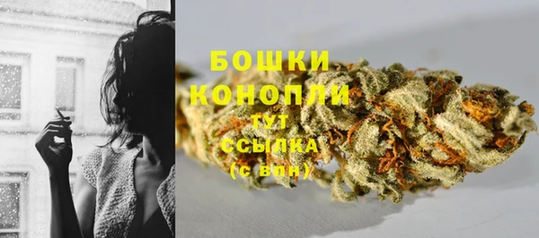 ГАЛЛЮЦИНОГЕННЫЕ ГРИБЫ Верея