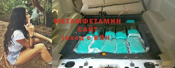 ГАЛЛЮЦИНОГЕННЫЕ ГРИБЫ Верея
