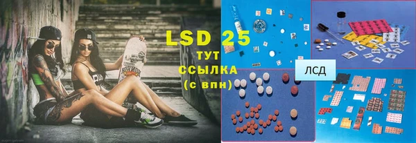 ГАЛЛЮЦИНОГЕННЫЕ ГРИБЫ Верея