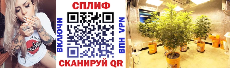 хочу   Люберцы  Шишки марихуана тримм 